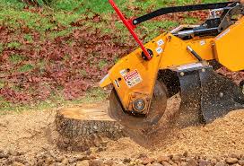 Best Firewood Processing and Delivery  in Haledon, NJ